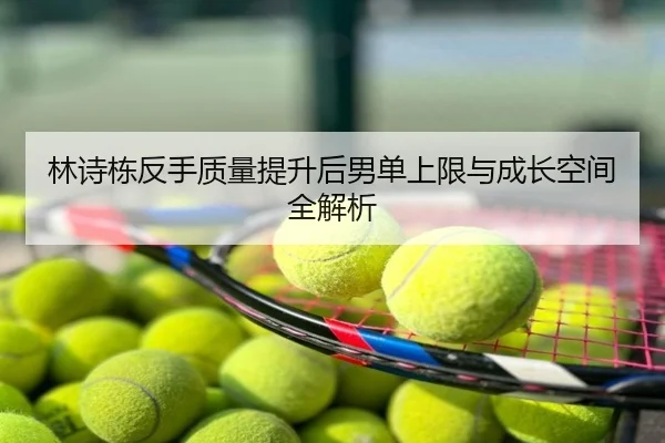 林诗栋反手质量提升后男单上限与成长空间全解析